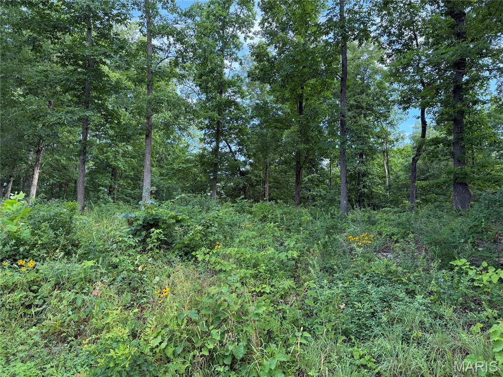 Black River Retreat #2 - Land