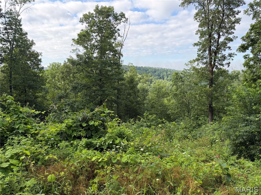 Looking for a river getaway? This 1.22-acre property offers 7 lots in the Black River Retreat #2 subdivision. Partially cleared and featuring a nice mix of open space and mature trees, this property offers the perfect setting for a camper, cabin, or future getaway. Enjoy scenic views and easy access to the Black River just a short distance away. Electric is nearby, making development even more convenient. Whether you’re looking for a weekend retreat, investment opportunity, or a place to enjoy the outdoors, this property is ready for your vision.