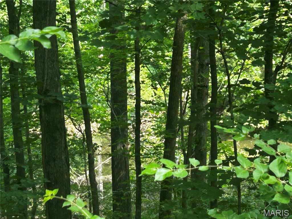 Bluffs/Hoene Spgs 1 - Land