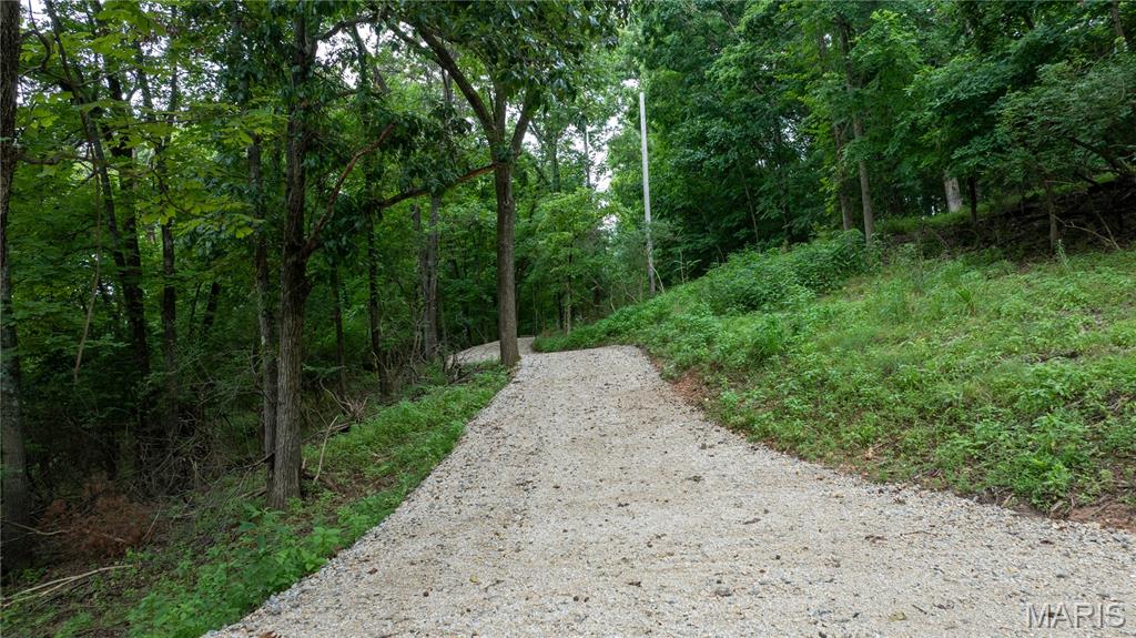 Bring your plans and build your own custom home on a beautiful 3+ acre wooded lot in Ballwin! Located just moments from all of the picturesque woodland of the parks along the Meramec River: Castlewood, Sherman Beach, and the Al Foster Trail, as well as all of the shopping and restaurants along Manchester Road. You'll have your own private retreat surrounded by nature, while enjoying quick access to nearby conveniences. Electric and gas are on the property. Sewer and county water have open easements from the property next door.

Address is for land only and includes the following parcels:
700 Old Kiefer Creed Road. APN: 24T-33-0661
700 Old Kiefer Creed Road, #A. APN: 24T-33-0670
700 Old Kiefer Creed Road, #B. APN: 24T-33-0681
700 Old Kiefer Creed Road, #C. APN: 24T-33-0692