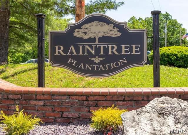Raintree Plantation - Land