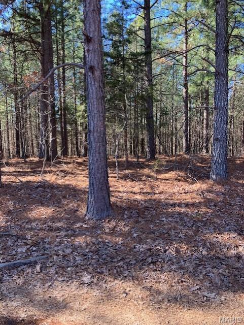 This beautiful 24.6 acres with a magnificent Ozarks view includes a deeded access road to the property, and deeded access to a nearby shared spring-fed stream, and sits within about a mile of Mark Twain National Forest. 
This ridgetop oasis comes with NO restrictions, and can be had for less than the price of a new truck or SUV. 
Hunt, camp, build, ride ATVs on your own land, or fish or play in the shared creek section ... endless opportunities.
This property is wooded and rolling. You are within a mile of the 22,176-acre Mark Twain National Forest ... public ground where you can also hunt, ride and explore. All this, and only about 2 miles by road from U.S. 67.
Use this wooded, secluded property as a base camp for adventure or build your forever home and live out your days in secluded bliss. This and surrounding land is teeming with deer, turkey and small game, and the occasional feral hog or maybe a black bear.
There is additional acres available which adjoin this piece if interested.