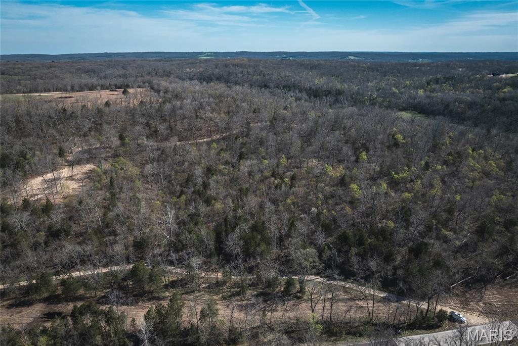 Spring Bluff Farms - Land