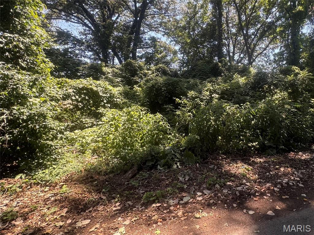 Two secluded wooded corner lots, tucked back in a quiet subdivision, great for building your forever home! 
Parcel numbers include: 13-05-16.0-001-001-028.000, 13-05-16.0-001-001-029.000