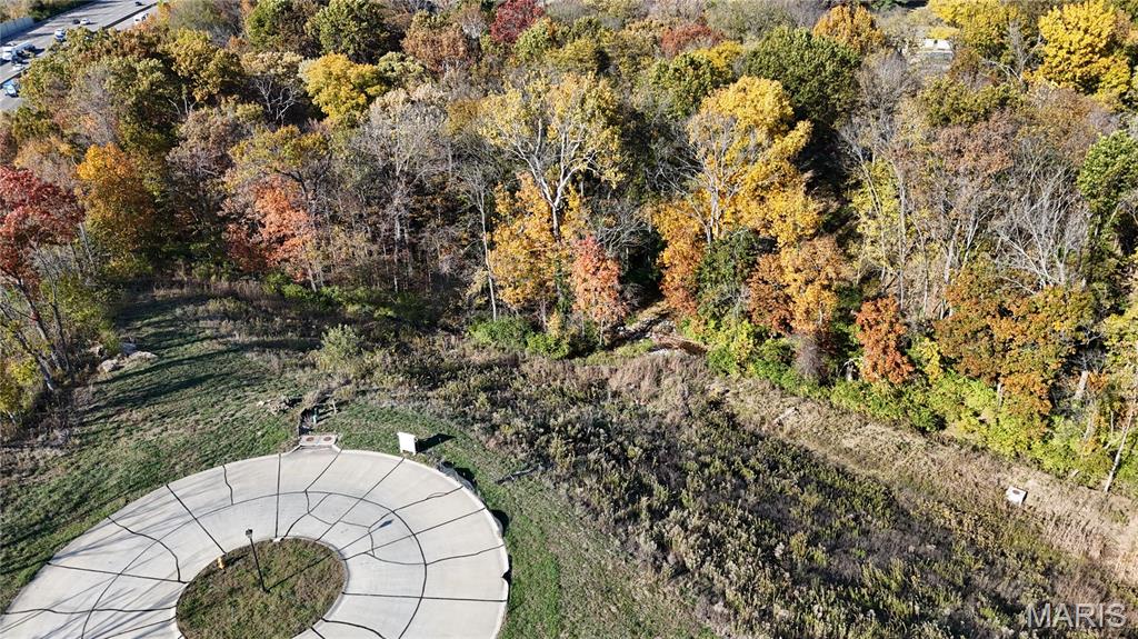 Bluffs At Lily Ave The - Land