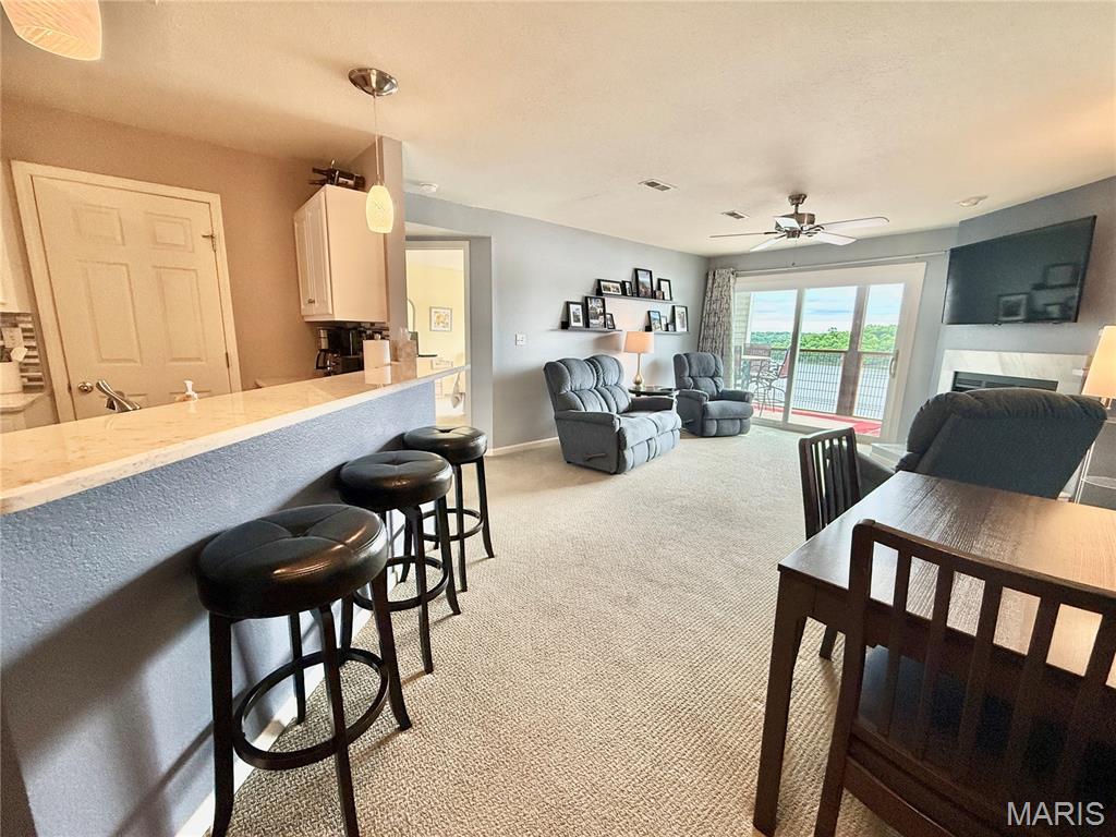 Park Place on the Lake - Residential