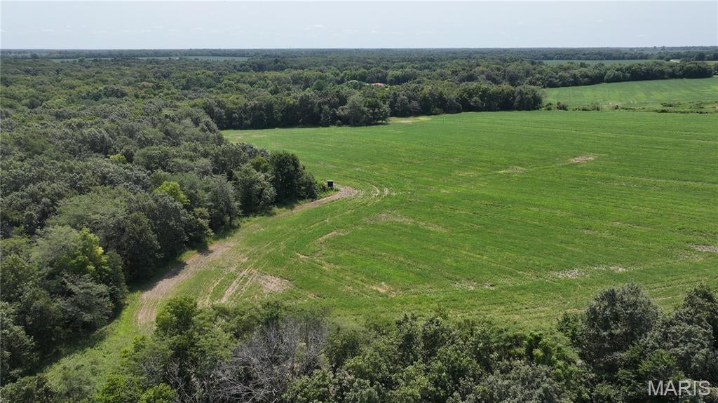 Discover an outstanding opportunity to own up to 65± acres of versatile, unrestricted, land in Montgomery County, Missouri. This ground is part of the larger 147± acre parcel at 171 Highway JJ, and offers an excellent mix of productive ground and natural features ideal for farming, recreation, hunting, or a private rural retreat. Seller willing to divide into 10-15 acre lots! 
Located just minutes from Interstate 70, the property provides convenient access while retaining a peaceful country setting. Roughly 5 miles west of Jonesburg and about 4 miles east of New Florence, placing you approximately 75 miles west of St. Louis and 55 miles east of Columbia. Everyday amenities, schools (Montgomery County R-II), and major corridors are easily reached.
The land features the rolling-to-gently-sloping topography common to this part of Montgomery County. Nearby comparable tracts along Highway JJ are known for productive soils (including Mexico and Armster silt loams) that support strong row-crop or pasture use, along with wooded draws and edges that create excellent wildlife habitat for deer, turkey, and other game. The combination of open ground and timber makes this acreage suitable for agricultural production, livestock, recreational hunting, or future homesite development. Don't forget to check out the creek! See proposed division. Proposed tracts have access from Prices Branch Rd. Additional acreage may be available.