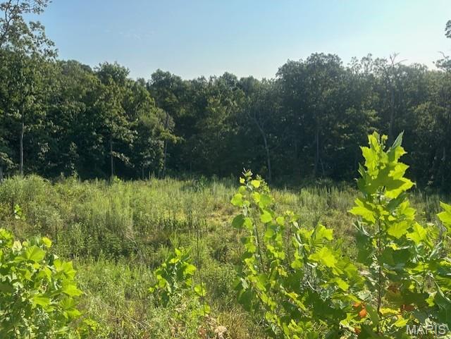 The Woods - Land