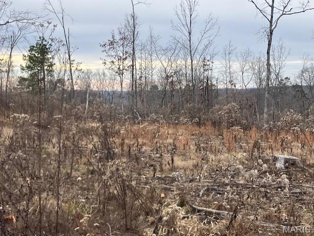This Ozark hideaway includes deeded access to a nearby shared spring-fed stream, and sits within about a mile of Mark Twain National Forest. 
This affordable 25.69 acre oasis comes with NO restrictions, and can be had for less than the price of a new truck. And there's a nice deeded easement gravel road leading from the county road to your property.
Hunt, camp, build, ride ATVs on your own land, or fish or play in the shared creek section ... endless opportunities.
This property is wooded and rolling. You are within a mile of the 22,176-acre Mark Twain National Forest ... public ground where you can also hunt, ride and explore. All this, and only about 2 miles by road from U.S. 67.
Use this wooded, secluded property as a base camp for adventure. This and surrounding land is teeming with deer, turkey and small game, and the occasional feral hog or maybe a black bear.
There is additional acres available which adjoin this piece if interested.
