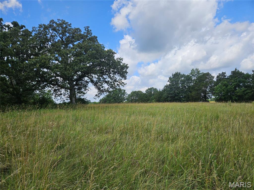 Escape to over 60 acres of beautiful countryside! Nestled in a serene rural setting far from the noise and congestion of town, this exceptional property features open pastureland and a prime building site. Ideal for hunting, pasture, recreation, or investment, the property offers both privacy and seclusion. Surrounded by woods on two sides, this is an amazing home site or a hunter's paradise! Opportunities to own acreage like this are becoming increasingly rare—don't miss your chance to make this stunning country property your own. * Aerial photos coming soon Saturday June 27.
