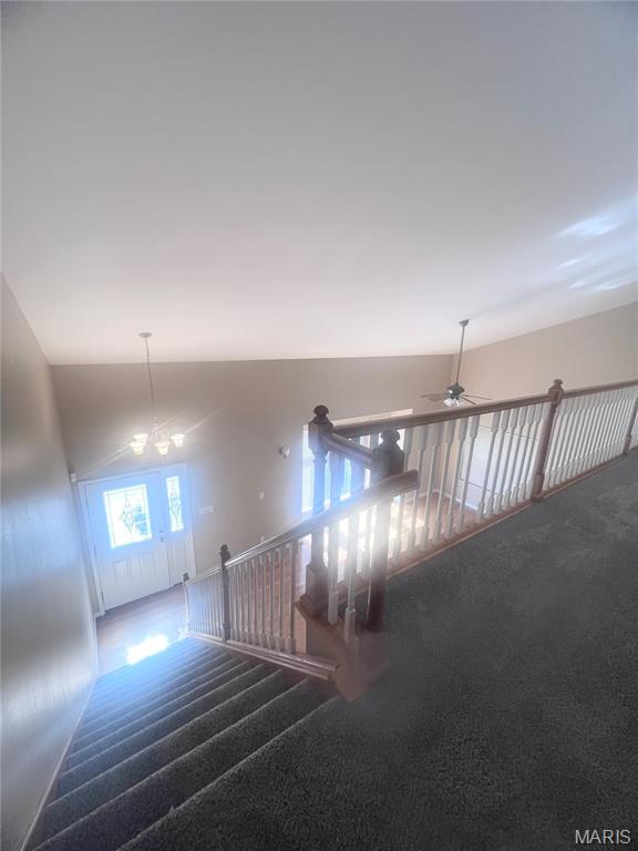 Cabanne Townhomes - Residential