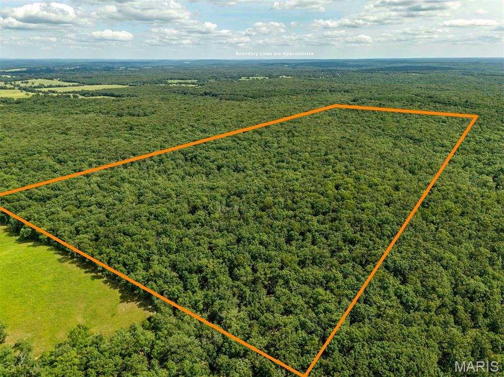 AUCTION LISTING - List price is not indicative of Seller’s final reserve amount.  This property is part of an online bidding event.  This sale will be executed with a no-contingency contract provided by brokerage representing the Seller. See MLS Supplement Document for complete details. 

80± acres of untouched white oak timber on Fire Tower Road, five miles south of Steelville in Crawford County, accessed by a 33-foot ingress/egress easement. Every acre is forested, and a walkthrough by Holzmueller Forestry Consulting this August turned up no evidence the timber has ever been harvested. The stand is dominated by white oak with post, red, and black oak mixed in, and roughly three-quarters of that white oak volume is already better than eighteen inches at breast height. The forester put the owner's share of the standing timber at approximately $50,000, or about $625 per acre, through a strategic harvest that captures value without wrecking the aesthetics or the habitat. Thick oak regeneration underneath means the next stand is already coming. Take the money now or let it keep growing, either way, that's real value sitting on the stump before you ever hang a stand.

The ground lays mostly flat to gently rolling with about 15 acres of south facing slope on the west side that the forester called low commercial value, which is another way of saying it's exactly where deer bed and turkeys strut on a cold morning. An existing trail system gets a side-by-side to your stands without cutting new road. The tract also adjoins Keysville Towersite, an 80 acre MDC area where deer hunting is archery methods only. No rifle pressure pushing deer around next door during the November grind, that's a rare neighbor to have.

Beyond the property line you're in the best recreation corridor in the state. Steelville, the Floating Capital of Missouri, is 5 miles up Route AA, with the Meramec River and Huzzah and Courtois creeks running nearby outfitters, gravel bars, and some of the finest smallmouth water in the Ozarks. Mark Twain National Forest, the Berryman Trail, and Dillard Mill are all close. And Chesterfield and the west St. Louis suburbs are roughly 85 miles northeast, about an hour and a half door to gate, putting an untouched 80± acre timber tract well inside Friday night range.