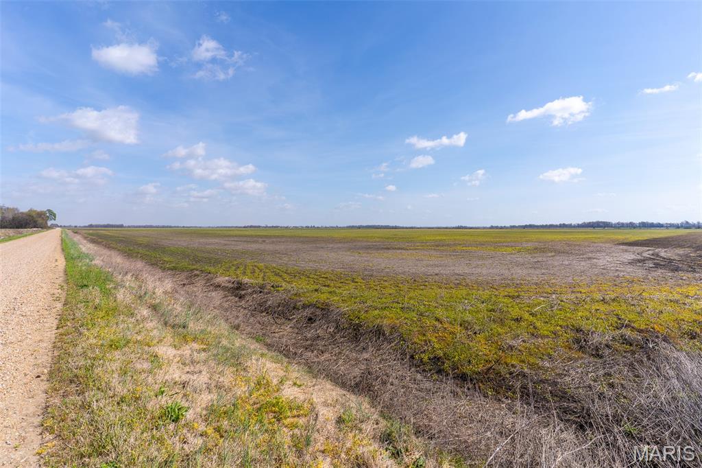 This productive row crop farm, 460+/- acres in New Madrid County Missouri, represents a high-quality agricultural asset with excellent dual-purpose utility. The farm is fully equipped for consistent production, featuring two center pivots serviced by their own respective well and diesel power units, ensuring water and yield stability regardless of seasonal rainfall.  Its location in the Mississippi River Delta Flyway makes it a very desirable spot for migrating waterfowl.  This area is known as Yellow Dog, just west of East Prairie on New Madrid County Road 706 & 713.   
There are 4 additional farms available for purchase ranging from 100 acres to 460 acres totaling an additional 990 acres.