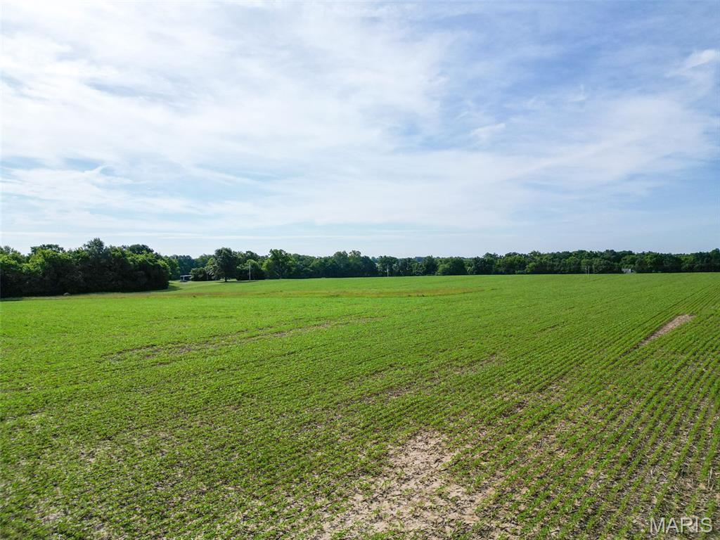 Stamer Farms - Land