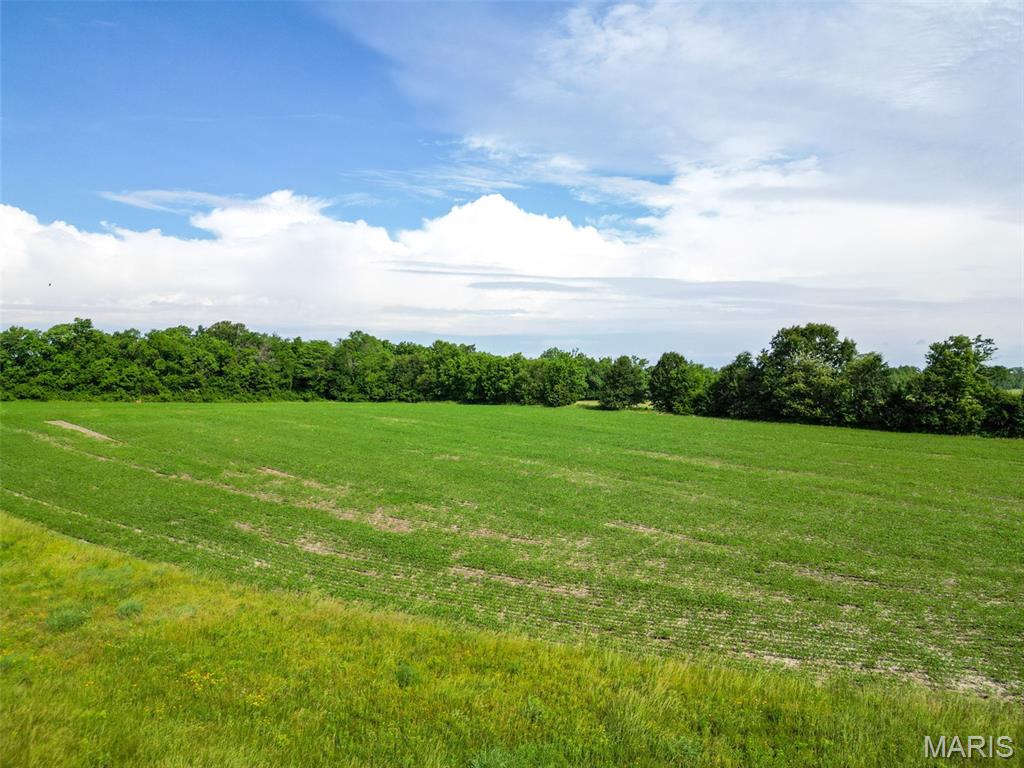 Stamer Farms - Land