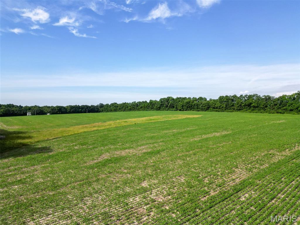 Stamer Farms - Land
