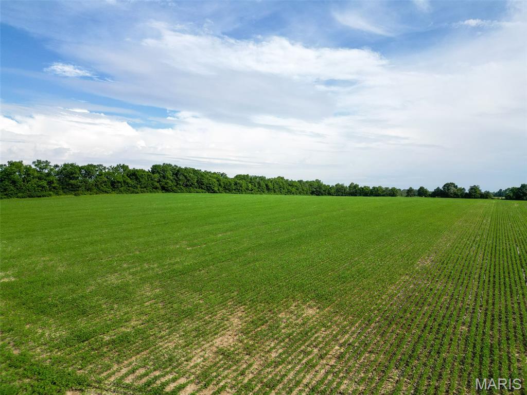 Stamer Farms - Land