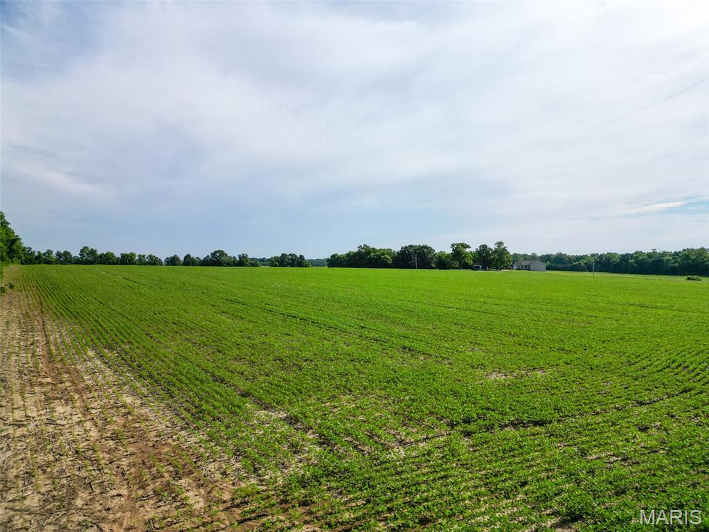 Stamer Farms - Land