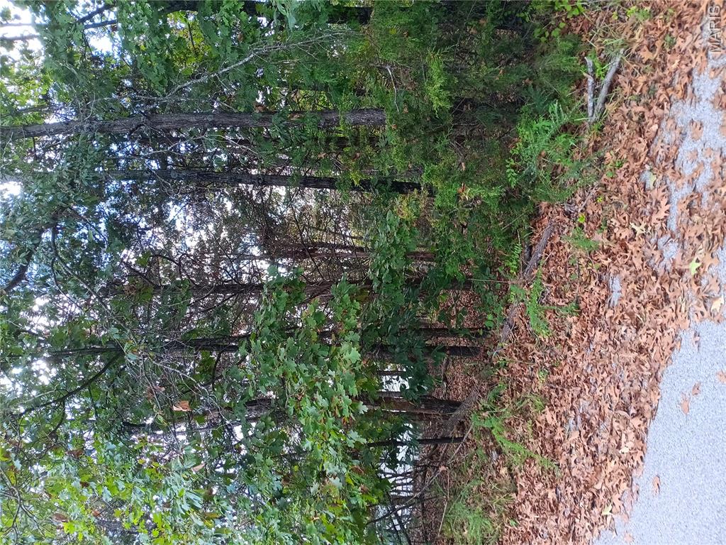 Raintree Plantation Sec 17 - Land