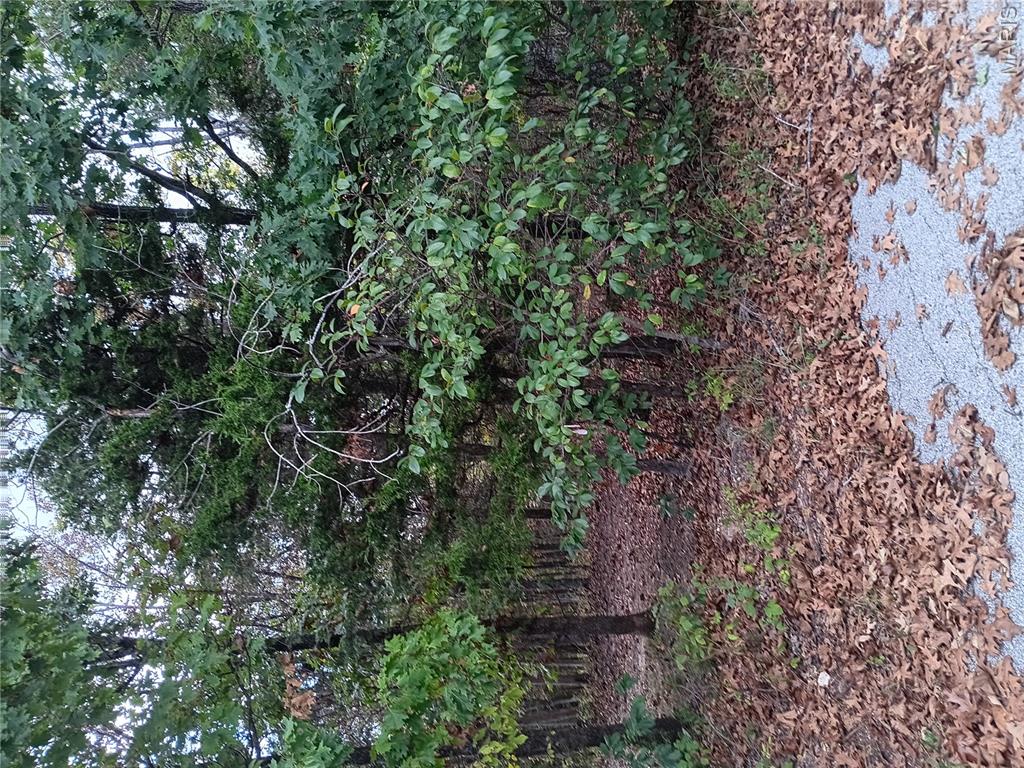 Raintree Plantation Sec 17 - Land