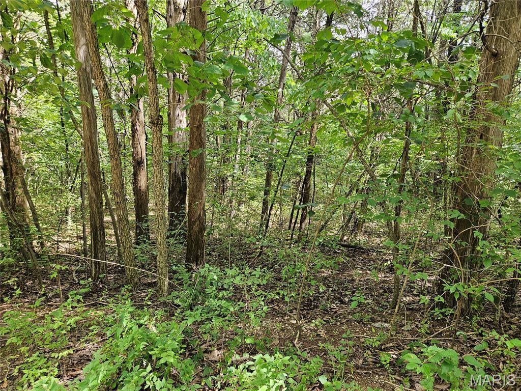 Raintree Plantation Sec 15 - Land