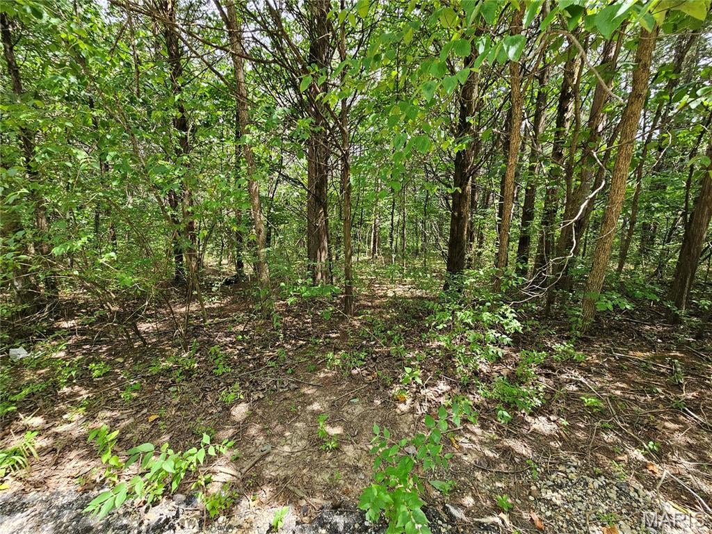 Raintree Plantation Sec 15 - Land