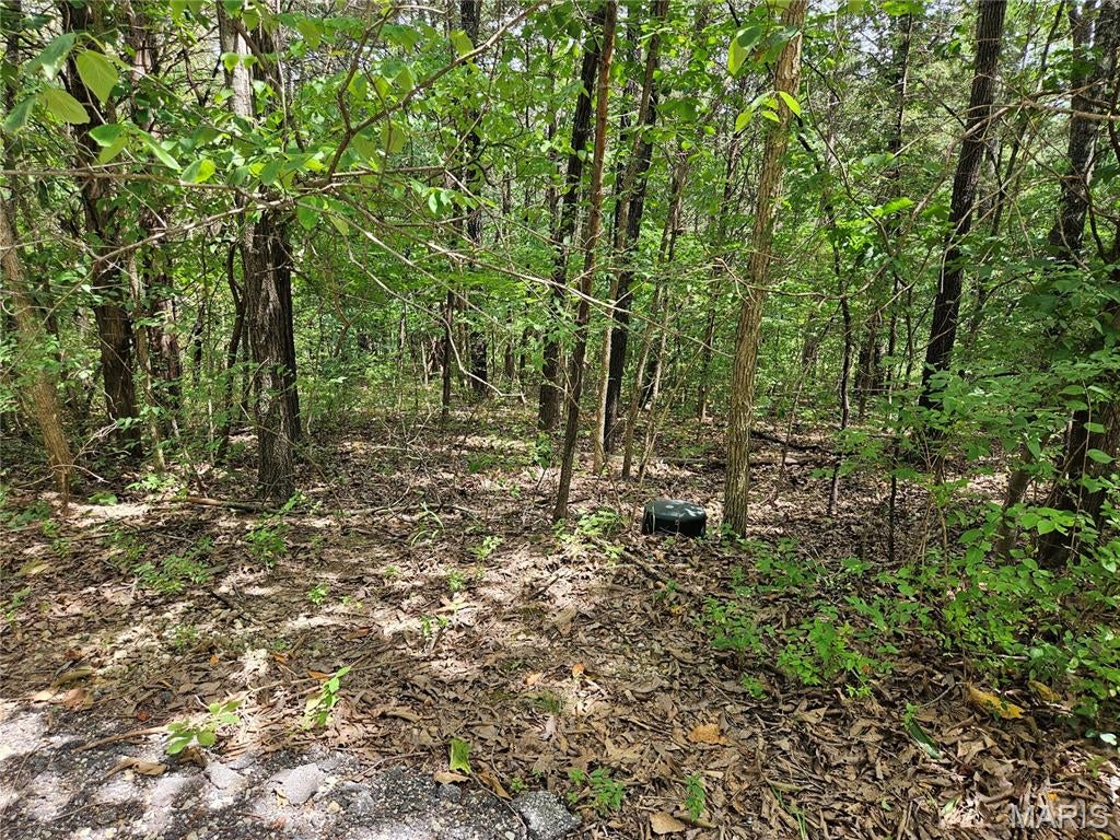 Raintree Plantation Sec 15 - Land