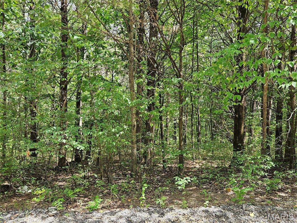 Raintree Plantation Sec 15 - Land