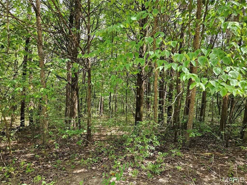 Raintree Plantation Sec 15 - Land