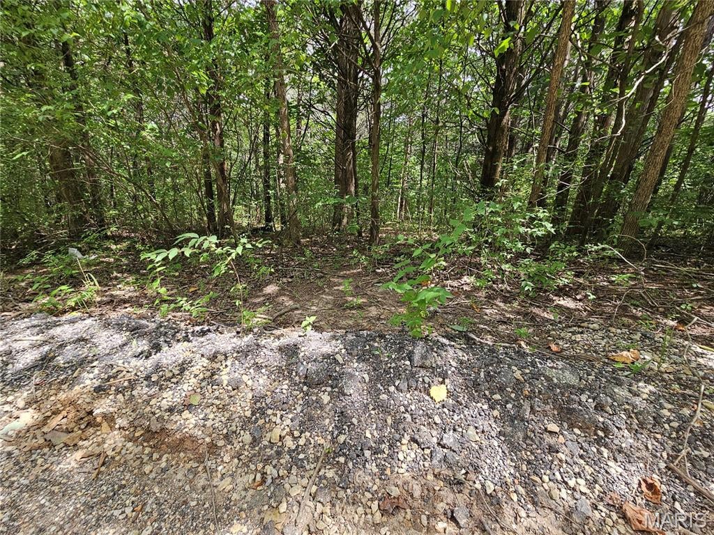 Raintree Plantation Sec 15 - Land