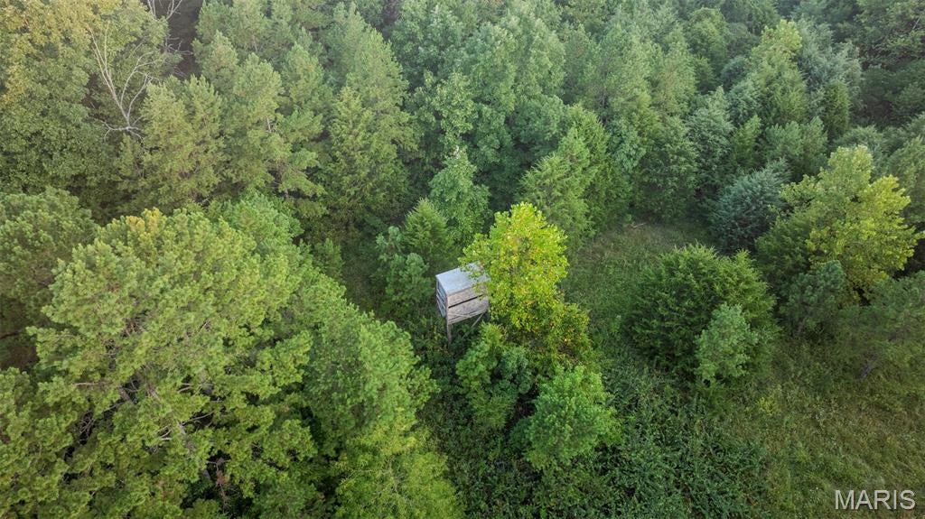This secluded 40 m/l acre parcel near Licking, MO offers the perfect mix of mostly flat to rolling terrain with natural ravines in the NE and SW corners, creating ideal bedding areas and travel corridors for the area's abundant deer and turkey population. Timber on the property features a great mix of pine and oak, offering fantastic wildlife habitat. 
Navigate the property with ease using the established trail system, and take advantage of the cleared open areas perfect for year-round food plots.
Includes a 30x40 pole barn featuring double sliding pull-through doors and wiring ready for generator hookup. Securely accessed via a recorded easement road, offering deep woods privacy while remaining close to town amenities.
Turnkey outdoorsman setup offered at a great price, schedule your private tour today!