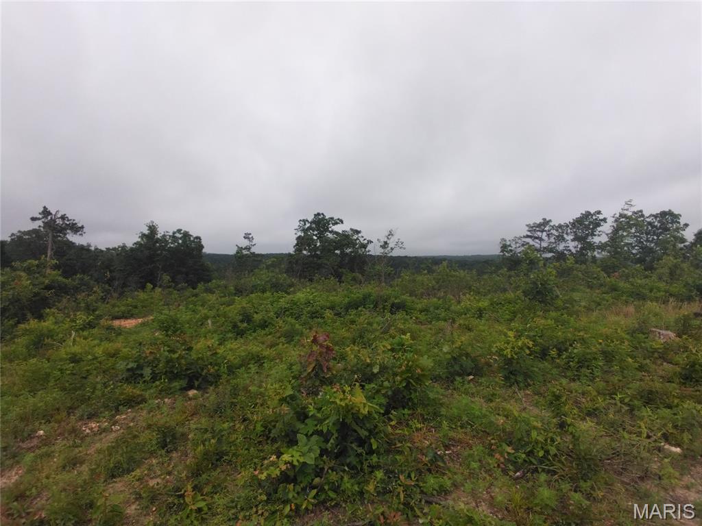 Discover 19.01 +/- surveyed acres located off Highway O in Belleview, Missouri. This attractive tract features a beautiful, wooded setting with rolling Ozark terrain and abundant wildlife, making it ideal for recreation, hunting, camping, or building your dream home. Conveniently situated near some of Missouri's premier outdoor destinations, including Elephant Rocks State Park, Johnson's Shut-Ins State Park, and Shepherd Mountain Bike Park, this property offers the perfect combination of privacy and adventure. Whether you're seeking a weekend retreat or a future homesite, this acreage provides a great opportunity to own your own piece of the rural property.