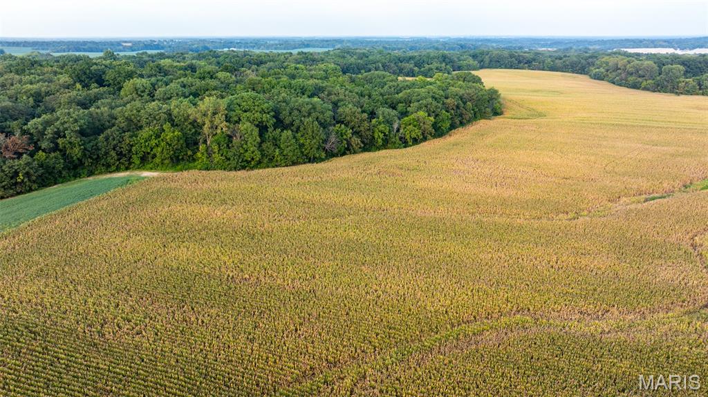 Near Oak Valley Estates - Land