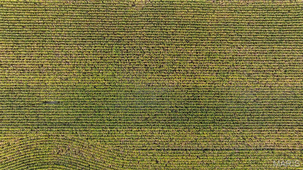 Near Oak Valley Estates - Land