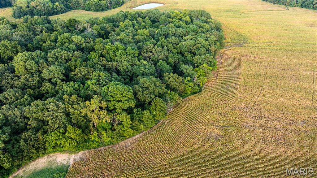 Near Oak Valley Estates - Land