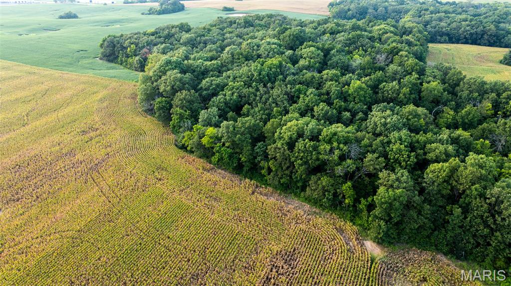 Near Oak Valley Estates - Land