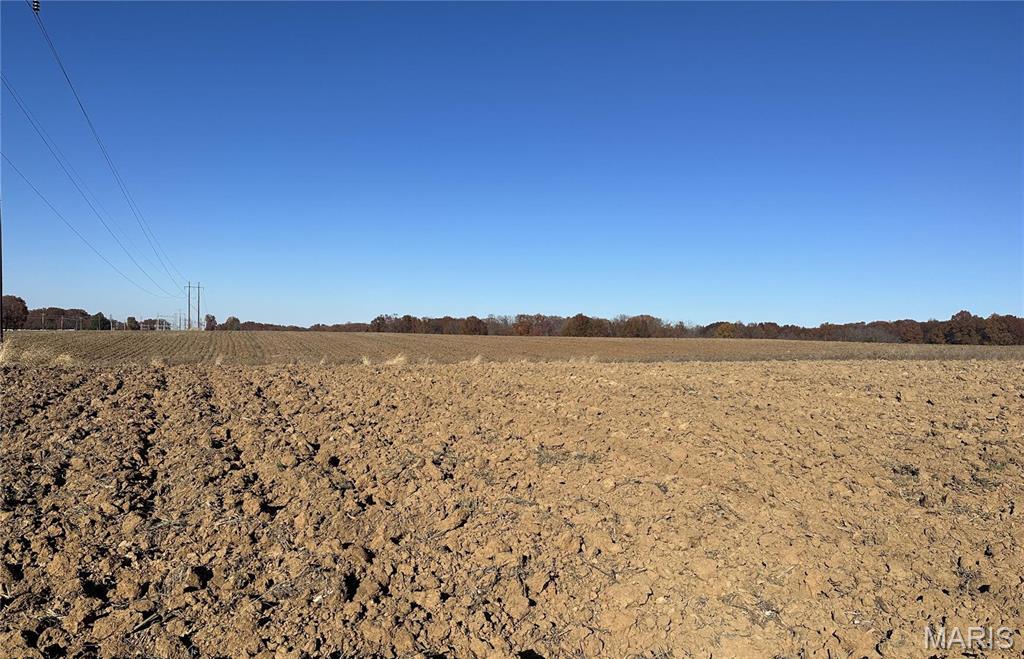 Excellent Development Opportunity! 42+/- on blacktop Snyder Road!  Road frontage galore and property lays nice. Perfect location for a residential development just outside of town! Seller is not opposed to commercial development. Approximately 20+/- acres in soybeans.  County water is at the property!  Sewer and natural gas nearby are on Snyder Road.  Lots of development near this property! $29,900/acre