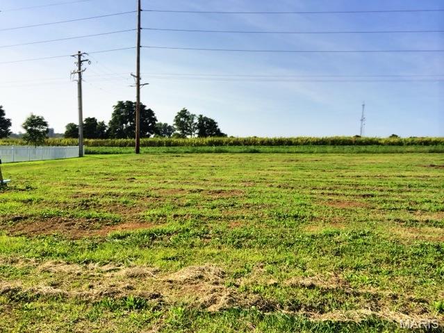 Lot 9 is a lot that backs to a field in Bluff Meadows. Tucked away by woods in the secluded entrance is Bluff Meadows in Valmeyer.  With so few homes for sale in Valmeyer, it is a great time to custom build your own home and get exactly what you are looking for.  You can bring your own builder.  Minimum square footage for a home on this lot is 1350 sq. ft. TAP IN FEES PAID BY VALMEYER to SAVE YOU MONEY!  Valmeyer is high up in the Illinois Ozark bluffs and a great community with a beautiful - easy - no stop light commute to St. Louis/about 20 minutes from South County.  Or 15 minutes to Rt 3 in Columbia.  Bluffview also offers:  Sidewalks, Street Lights, Fiber Optic & Public Utilities. There are other lots available that are Walkout, Corner or Daylight Window lots.