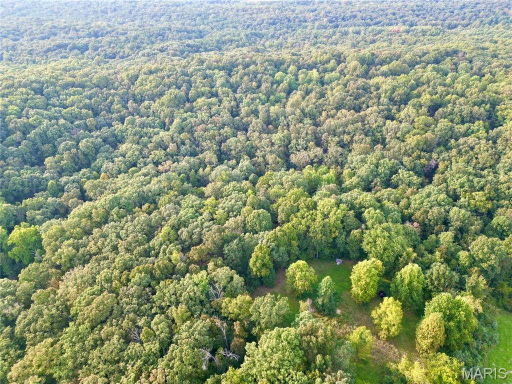 This beautiful 43± acre tract is almost completely wooded, with the exception of a small food plot, offering privacy, plenty of hunting ground, and a setting that is hard to replicate.

One of the highlights of the property is the beautiful cabin, featuring a rustic design with old barn tin and wood that gives it true character and charm. Step out onto the front porch and take in the beautiful view overlooking the surrounding ridges, scattered with mature white oaks. The cabin is ran off of solar power making it completely "off grid." 

A significant amount of timber stand improvement has been completed throughout the property, creating improved habitat while also freeing up the mature timber. The property has NOT been recently logged, and the white oak stand is incredible, creating the opportunity for marketable timber. The mature timber and rolling terrain provide an excellent foundation for wildlife and hunting.

Adding even more value to the property, Shawnee National Forest borders the north and west sides, and also touches it on the southeast corner, providing an incredible amount of additional ground to hunt. 

The possibilities are endless with this place. Use it for a hunting camp, weekend getaway, off grid living, or whatever you desire!