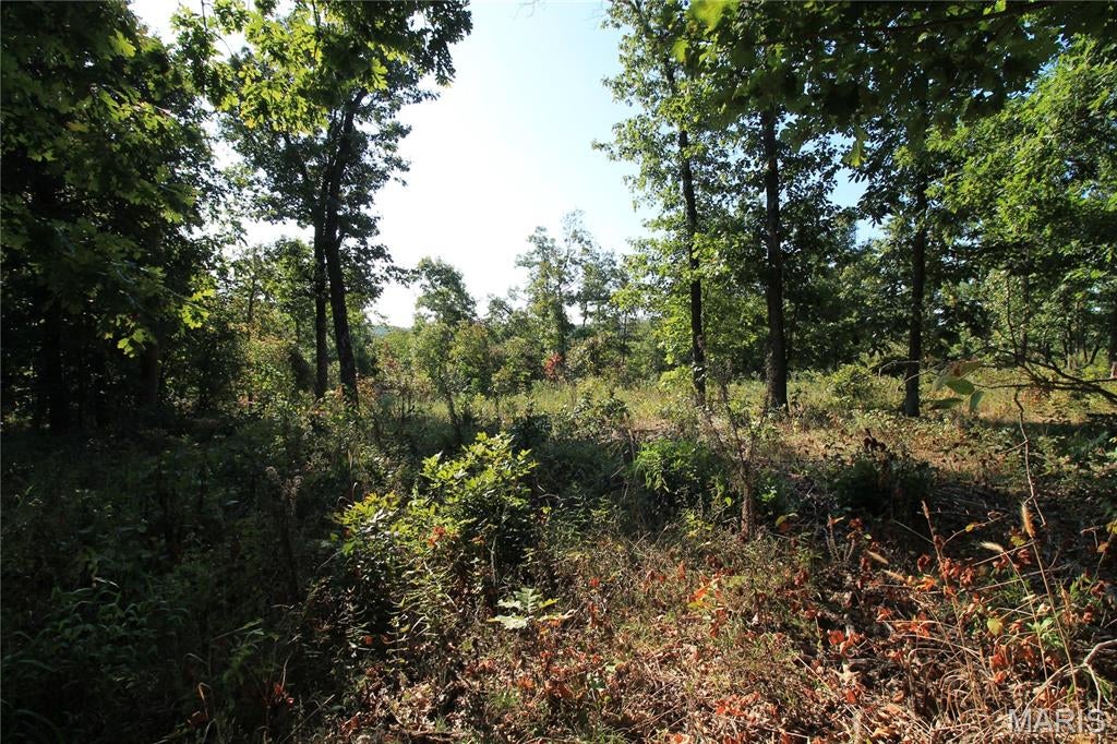 Coldwater Creek Estates - Land