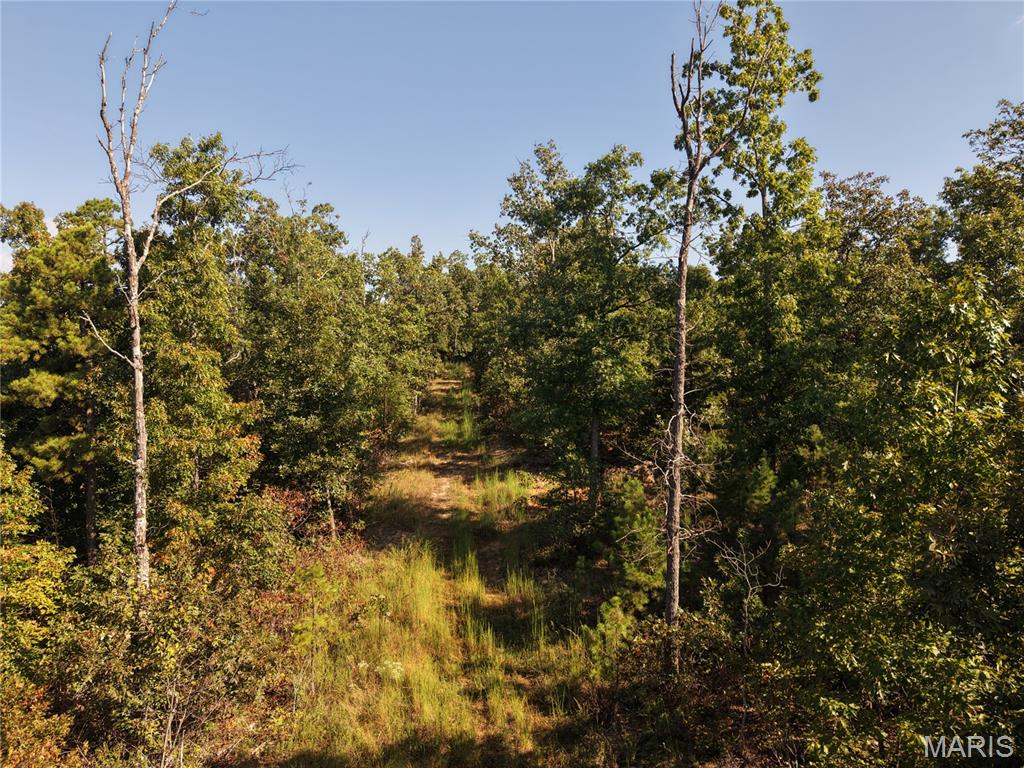 Coldwater Creek Estates - Land