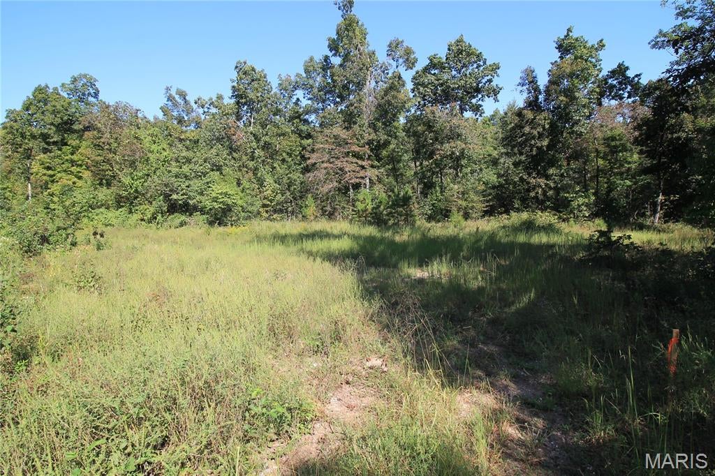 Coldwater Creek Estates - Land