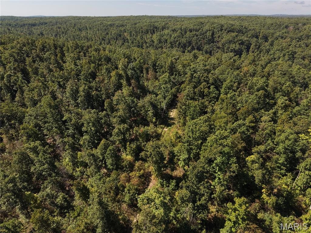 Coldwater Creek Estates - Land