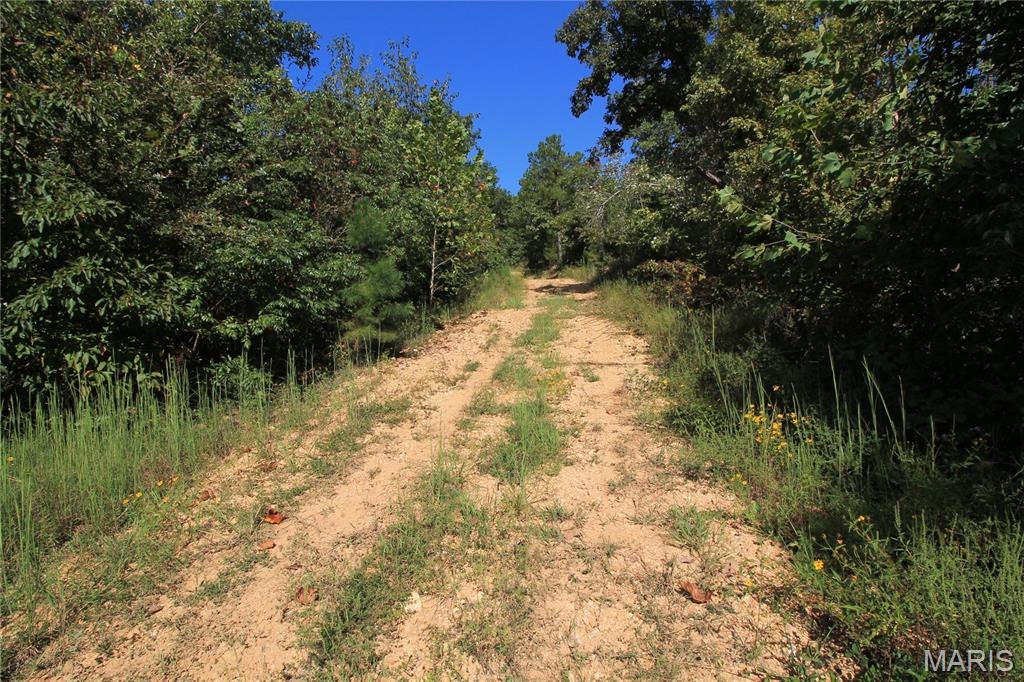 Coldwater Creek Estates - Land