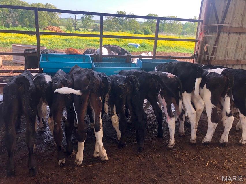N/A - Farm