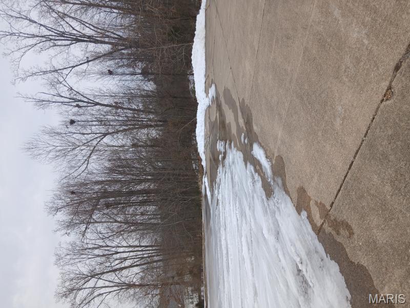 Welcome to one of Poplar Bluff's desired north end neighborhoods. This .39 acre lot offers gently sloping terrain suitable for a  street level home with a walkout basement. Nestled on a cul-de-sac, this lot is located in a perfect area to build your new home. With the seller willing to custom build with buyer's approved financing, give us a call now to get this lot before it's gone!