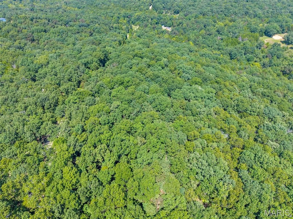 Twin Fawn Estates - Land