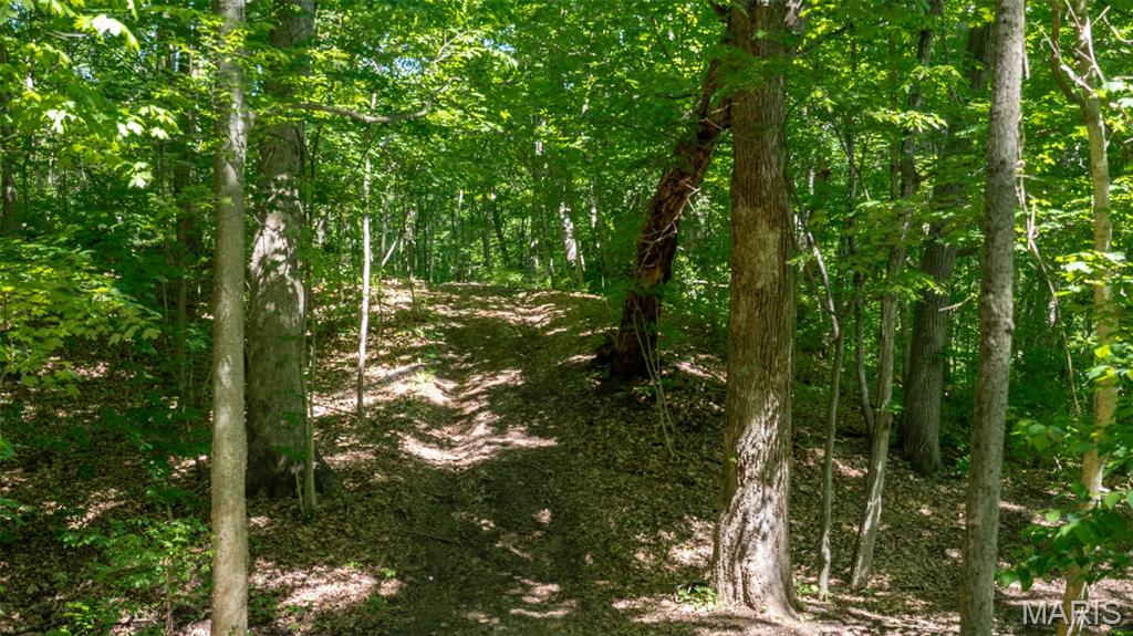 Miller Terrace - Land