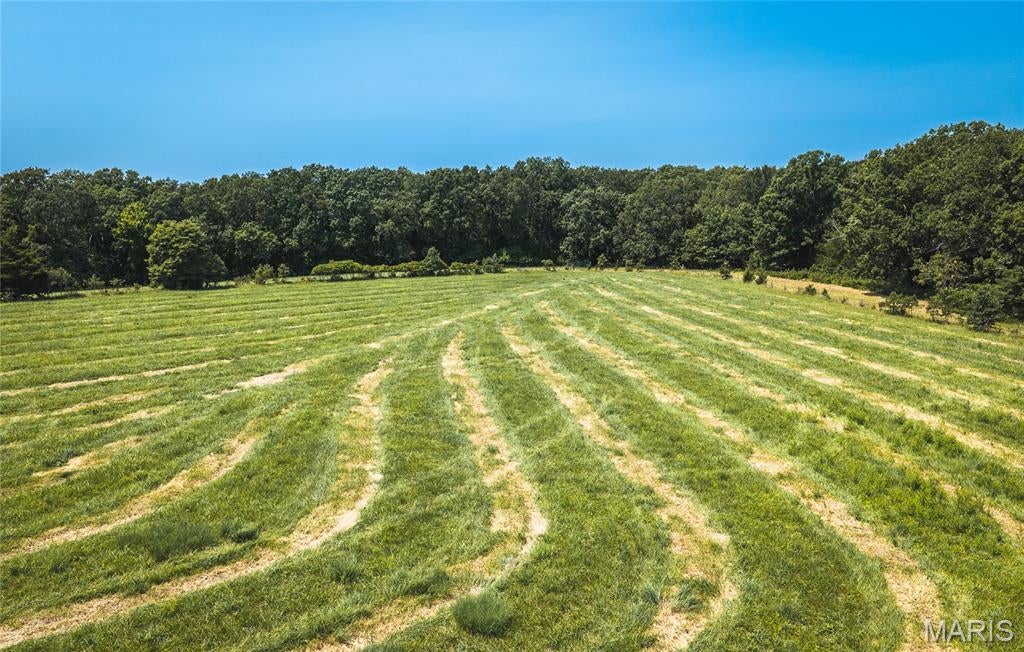 None - Farm