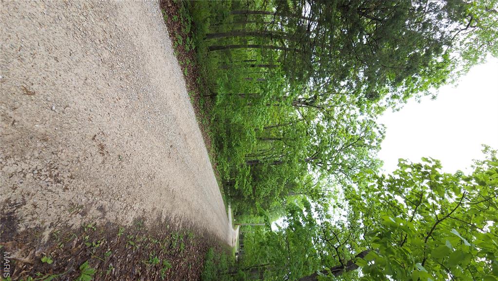 Running Deer - Land